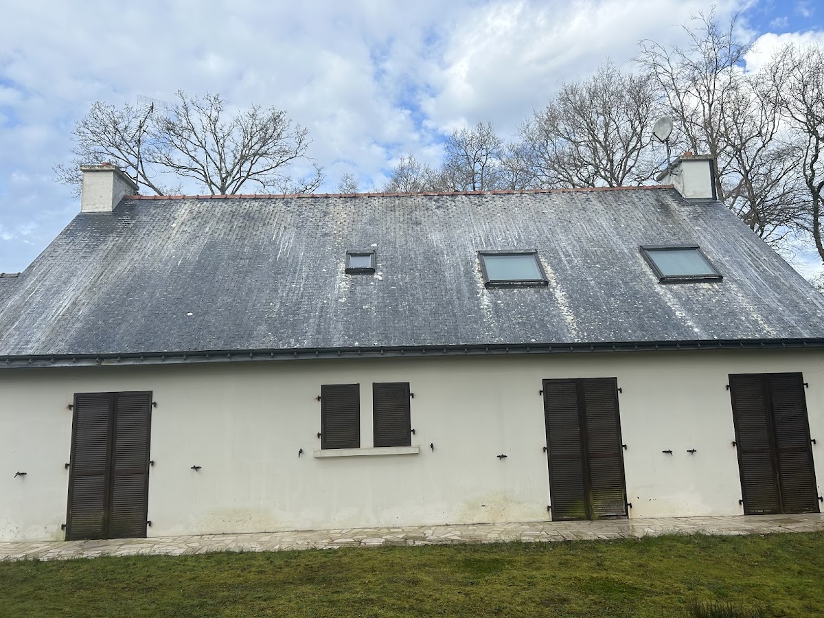 Démoussage toiture - Joyce Rénovation Finistère